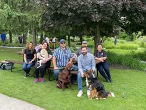Team mini golf day with the office dogs